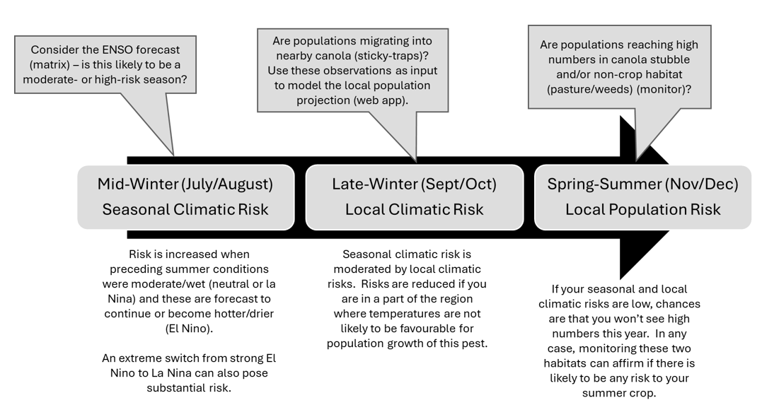 Flow chart of take home messages