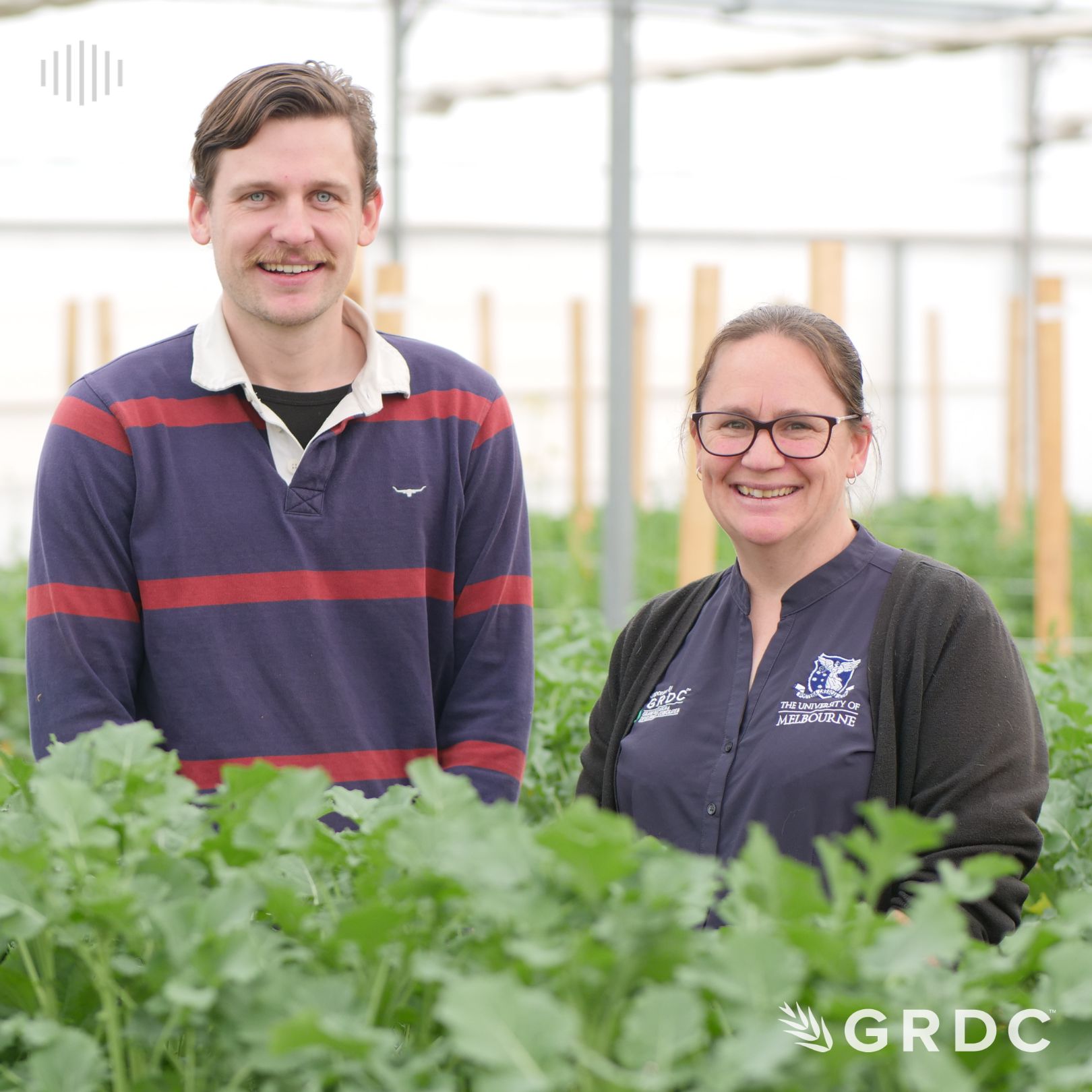 Tools for tackling blackleg of canola: AFREN - fungicide resistance management strategies for blackleg of canola