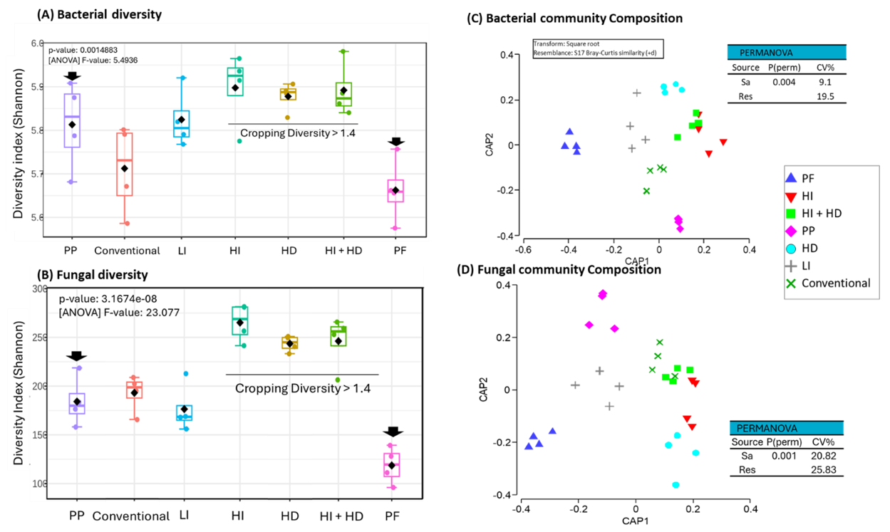 Four graphs showing effect of 8 seasons of cropping intensity and diversity treatments on soil for (A) bacterial (16s rRNA) and (B) fungal (ITS region) community diversity, and for (C) bacterial community composition and (D) fungal community composition in surface soils collected during November 2023 from selected treatments in the field experiment at Pampas, Qld.