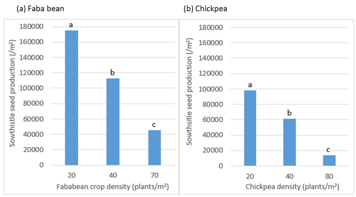 Figure 5 is a set of two column graphs (a) and (b) which show sowthistle seed production (/m2) as influenced by (a) faba bean and (b) chickpea plant densities (plants/m2). Sowthistle seed production was assessed close to crop maturity on the 9th and 30th October 2018 respectively. Bars with a different letter within a crop are significantly different at a 5% significance level.