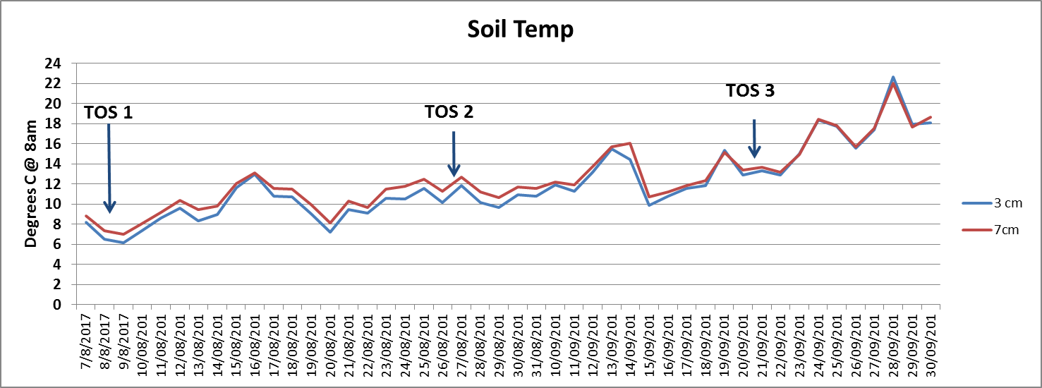Figure 1 is a line graph which shows soil temperatures at Breeza in 2017 (sowing dates - TOS 1, TOS 2 and TOS 3 - indicated by arrows)