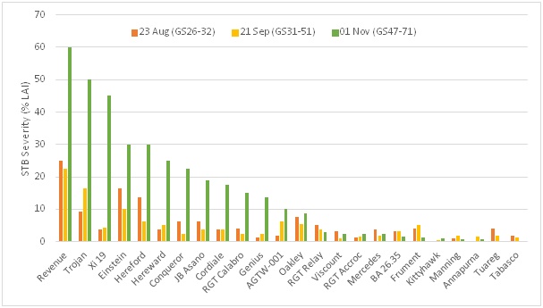 Bar graph illustrating the disease severity of Septoria tritici blotch (STB) (whole plot score), assessed on 23 August (GS26-32), 21 September (GS31-51) and 01 November (GS47-71) on a number of different cultivars.