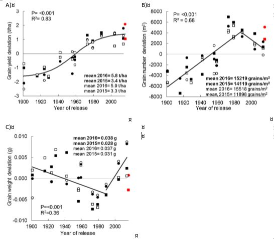 Line graphs showing grain yield increases (A) achieved through breeding from 1900-2014 as measured in cultivars popular in medium-high rainfall zone of southern New South Wales is associated with increasing grain number for the first ~80 years (B), and then increasing grain size for the last 34 years (C). Figure taken from Flohr et al. (2018). Square symbols are for 2015 (■, □) and round for 2016 (●, ○) growing seasons. 