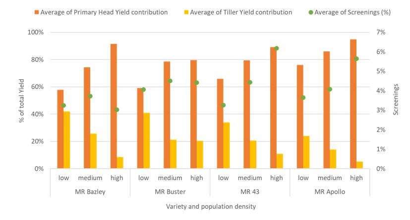 This column graph shows the main stem and tiller contribution to total yield and average screenings across population treatments. There was a significant difference between hybrids for average screenings across treatments (P=0.03), however, there was not a significant difference when hybrid x population density was considered.