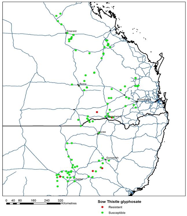 This is another map of the northern cropping region showing the distribution of glyphosate resistant and susceptible sowthistle