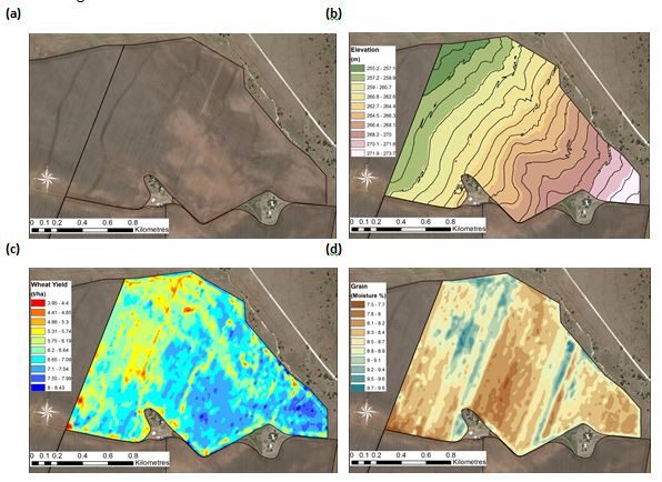 This is a collection of four images of the same paddock - Google Earth, elevation data, crop yield data and grain moisture