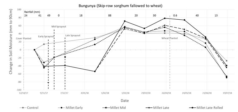 This is a line graph showing changes  in soil water (mm to 90 cm) from planting of the millet cover crop treatments sprayed out at different crop growth stages until harvest of the later wheat crop at Bungunya. The water cost of growing the millet cover crops, relative to the Control treatment in the early stages of the fallow was ~50mm for the early-termination, ~40 mm for the mid-termination and ~60 mm for the late-termination.