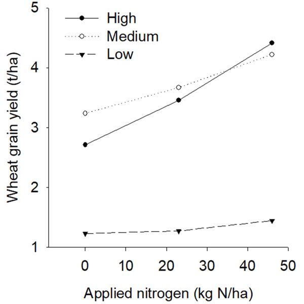 This is a graph showing wheat yield response to applied nitrogen in the low-, medium-, and high-yielding management classes at Biloela. Figure 5 shows the yield response to applied nitrogen for the three potential management classes at the Biloela site. No significant response to applied N was obtained in the low-yielding (constrained) class; however, significant linear increases were obtained for wheat grain yield for both the medium- and high-yielding (unconstrained) classes.