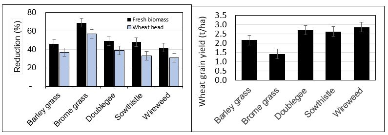 bar graph of reduction of weeds and effect on yields 