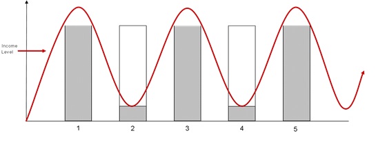 Bar graph indicating fluctuation of an example grower's income across five years