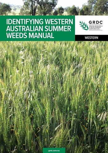 Cover image of Identifying western australian summer weeds manual