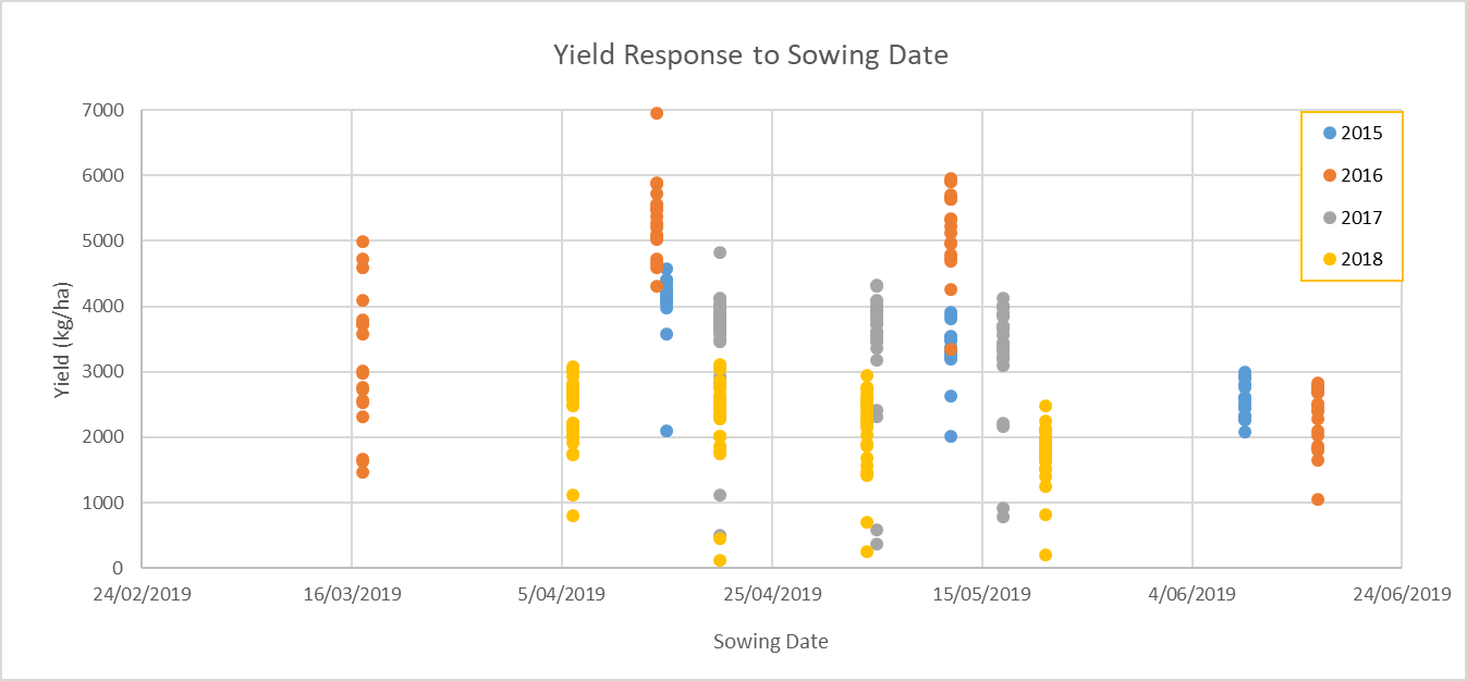 This scatter graph shows the average varietal yield response in Kg/ha to sowing date across sowing dates. (p=0.05) LSD 2015: 519 kg, 2016: 411 kg, 2017: 355 kg, 2018:240 kg. While there is a wide range of varietal response per sowing date, there is little no difference between sowing dates from early-April through to mid– May.