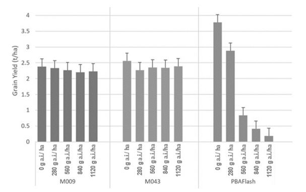 Across site analysis of lentil grain yield from Melton and Pinery 2016 trials comparing two Group C tolerant lines (M009 and M043) with commercial variety PBA FlashA at five rates of metribuzin herbicide applied at the five-node growth stage. Error bars represent least significant difference (LSD) at p=0.05. 