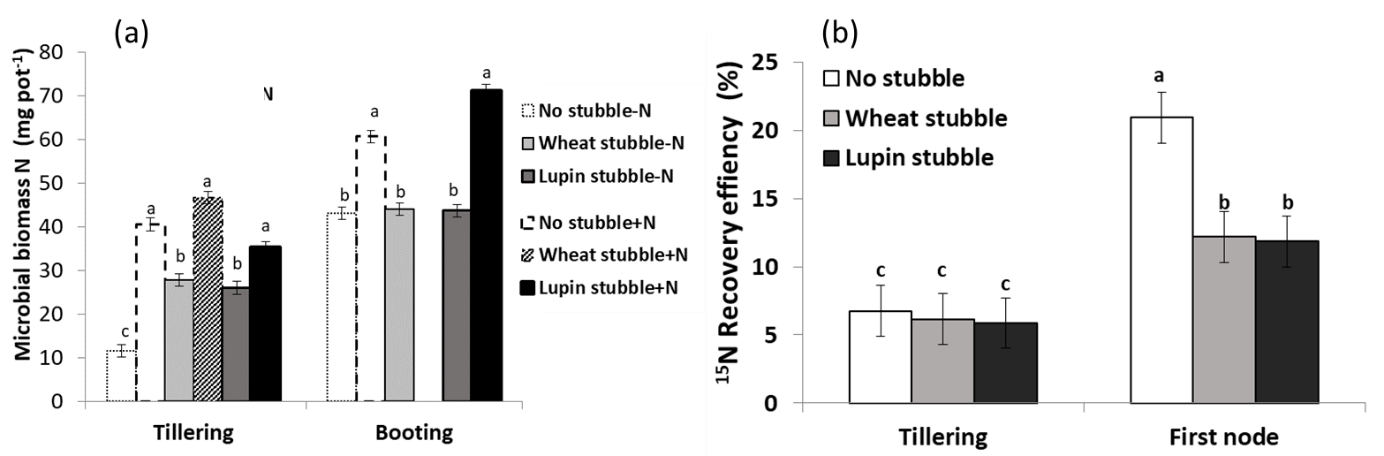 The effect of lupin and wheat stubble and N fertiliser on microbial biomass N in the soil at different growth stages, and the recovery efficiency by wheat   