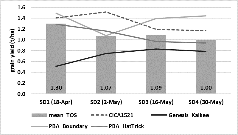 This line and column graph illustrates the effect of sowing date on grain yield, for four chickpea varieties sown at four sowing dates, Trangie ARC, 2018. Columns represent the mean of all eleven varieties sown in 2018 for each sowing date (TOS l.s.d. (P=0.097) n.s.; VAR (P<0.001) = 0.329 t/ha).