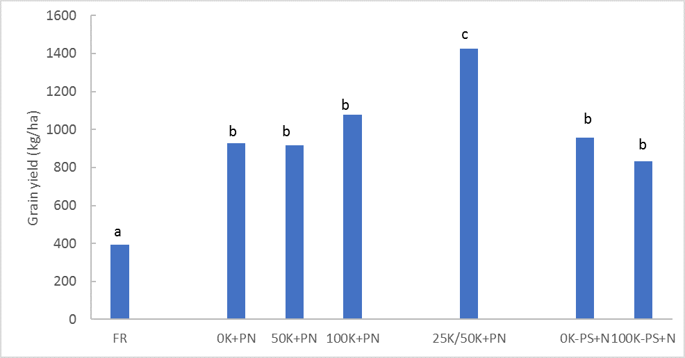 This column graph shows the mean grain yields (kg/ha) for treatments in the Dululu potassium (K) trial. Means with the same letters are not significantly different at the P=0.05 level (lsd=222)
