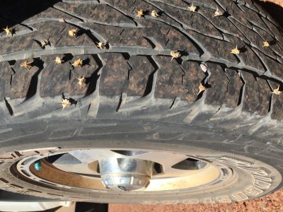 Caltrop seeds on vehicle tyres