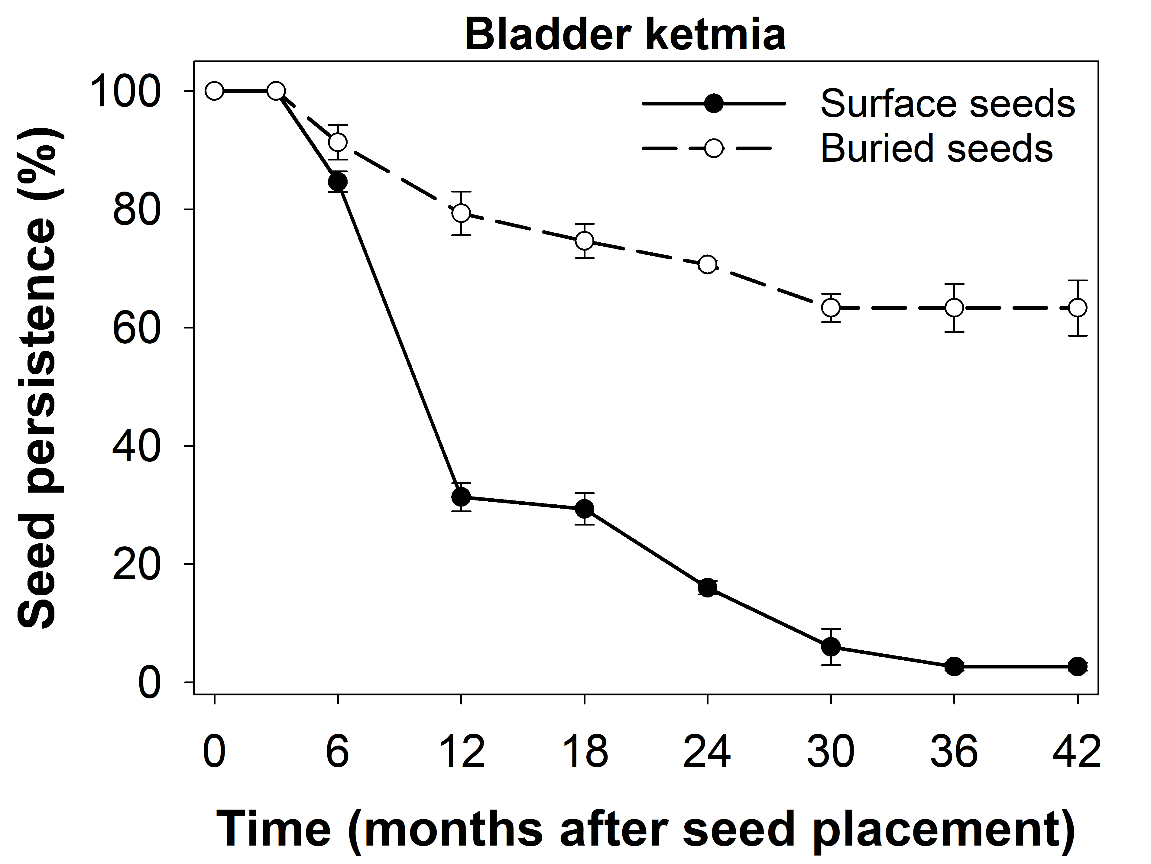 This figure is a line graph with error bars showing the persistence of bladder ketmia seeds placed on the soil surface or buried at 2 cm.