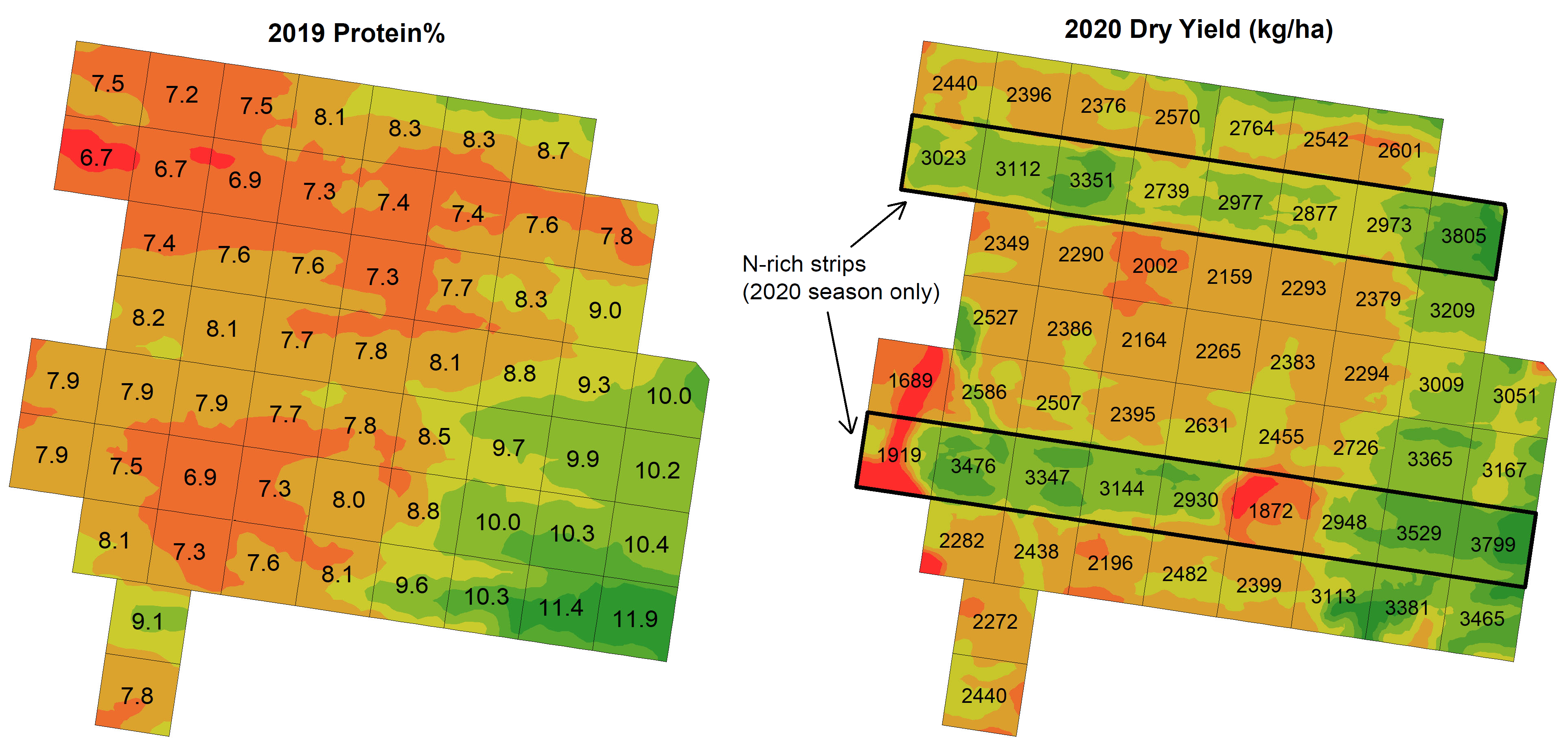 Figure 6 heat maps shwoing 2019 wheat (cv. Lancer ) grain protein (left) and 2020 wheat (cv. Spitfire ) dry yield at Ardlethan, with locations of N-rich strips shown. Note the greater yield response to additional N in areas of lower 2019 protein%.