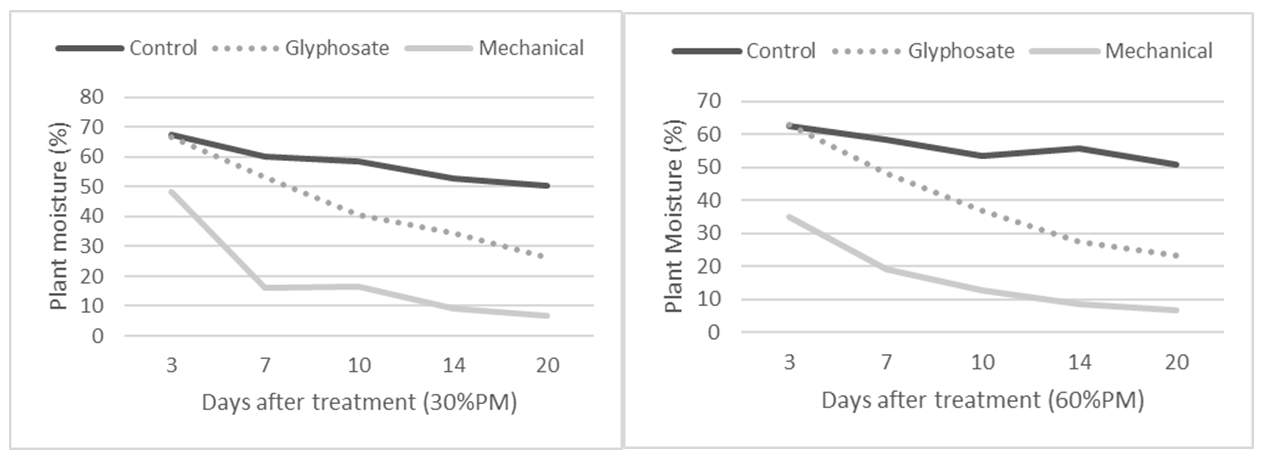 These two line graphs show mean moisture content taken at each sample interval for all treatments in the 30%PM stage (left graph, lsd = 3.25, P=0.05) and 60%PM stage  (right graph, lsd = 3.55, P=0.05).