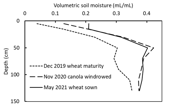 Figure 6. Soil moisture at wheat maturity in 2019, when canola was windrowed in November 2020, and when the following crop of wheat was sown in 2021. Data are averaged across 40 monitoring points.
