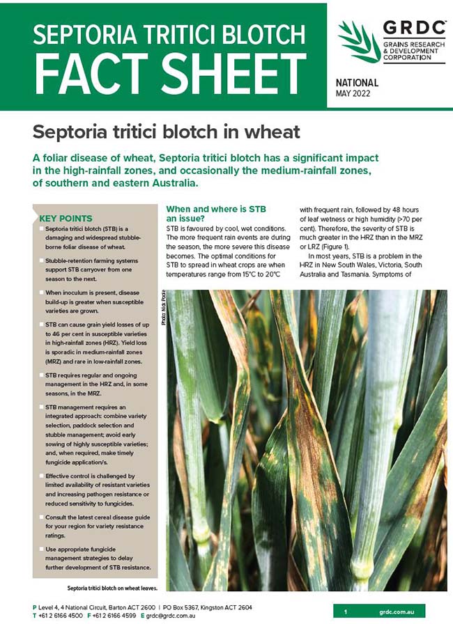 Septoria tritici blotch in wheat factsheet - May 2022