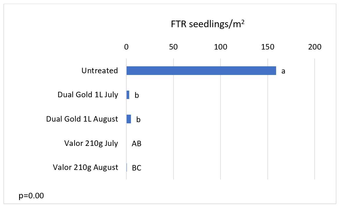 Bar chart of Feathertop Rhodes grass counts at 21/10/2021, 4 days after planting