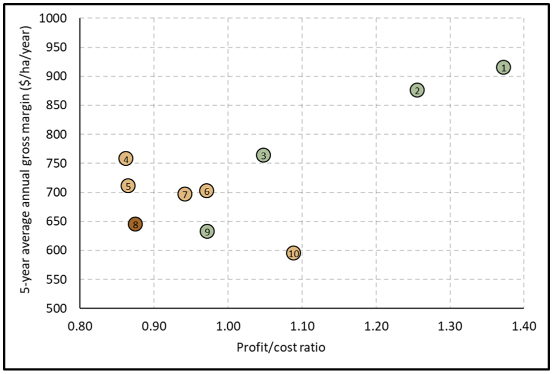 Graph showing average gross margin and profit to cost ratio for systems numbered in Table 4. Systems without legumes are light brown, the baseline is dark brown and systems with legumes in green.
