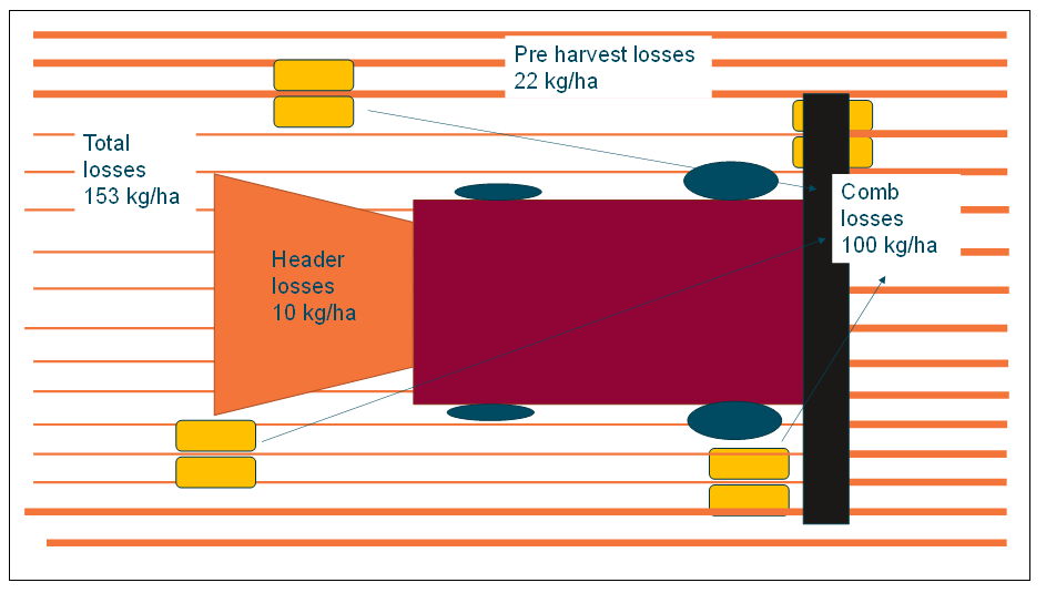 Diagram of harvest losses when harvesting glyphosate desiccated mungbeans