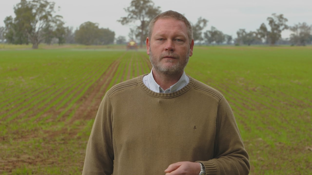 A man standing in a field, looking to camera