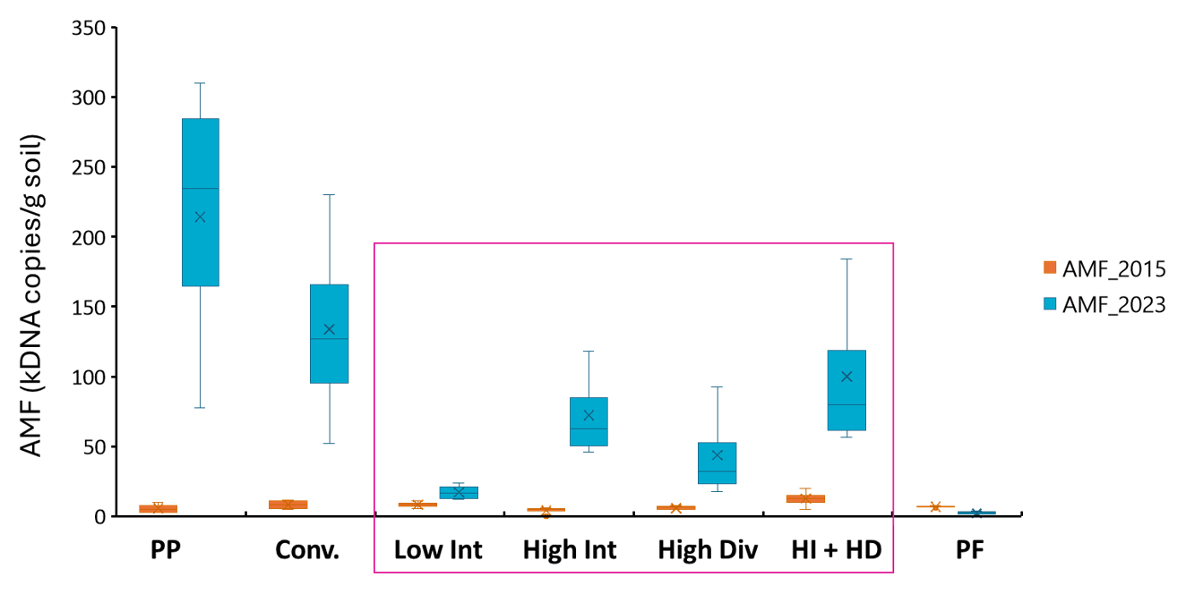 Box plot showing the abundance of arbuscular mycorrhizal fungi (AMF) in surface soils as influenced by different cropping intensity and diversity treatments in the samples collected at the start of the experiment (2015) and in November 2023 from the field experiment at Pampas, Qld.