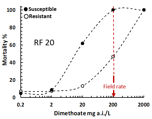 Figure 1(c) is a line graph which shows the sensitivity of a typical Australian susceptible and resistant green peach aphid population to the organophosphate, dimethoate (right panel).  RF = Resistance Factor   