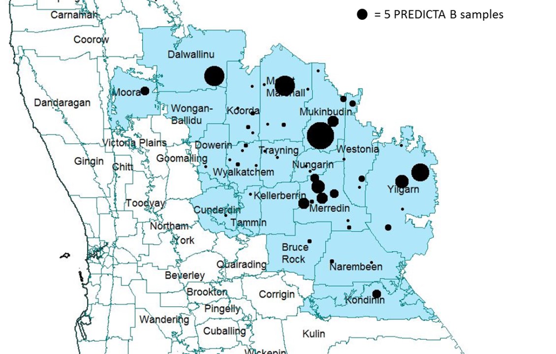 Map of WA wheatbelt showing 5 PREDICTA B sites