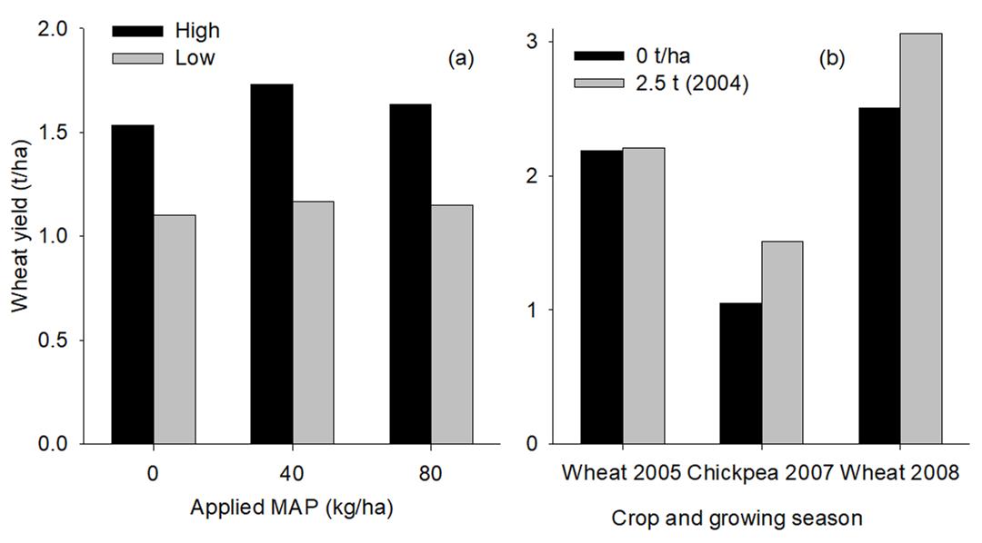 This is a set of two column graphs showing the results of on-farm experiments at the Goondiwindi site: (a) wheat yield response to applied MAP for the low- and high-yielding classes; and (b) yield response to applied gypsum seen on constrained areas. At the Goondiwindi site, wheat yield showed a characteristic non-linear response to the different rates of MAP application for the high-yielding (unconstrained) class (Figure 6a), with yield maximised at the conventional application rate of 40 kg MAP/ha/year. Gypsum applied to adjoining farm at 2.5 t/ha in 2004 had no effect on wheat grain yield in 2005, but significantly increased chickpea grain yield by 0.46 t/ha in 2007 and significantly increased wheat grain yield by 0.56 t/ha in 2008 (Figure 6b).