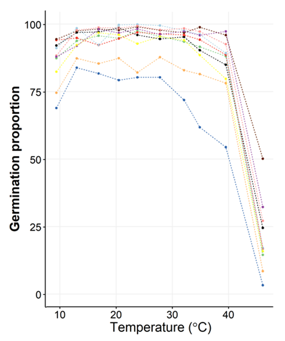 This line graph shows the proportion of sorghum seeds that successfully germinated when incubated at constant temperatures.  Each colour represents one hybrid seedlot but they are not identified as the experiment doesn’t differentiate if the result is due to genetic, seed production or storage factors.