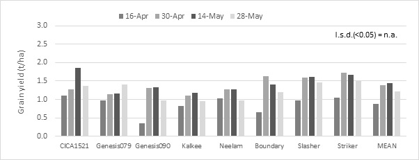 Column bar graph showing the grain yield of eight chickpea varieties sown at four different dates at Yanco in 2018
