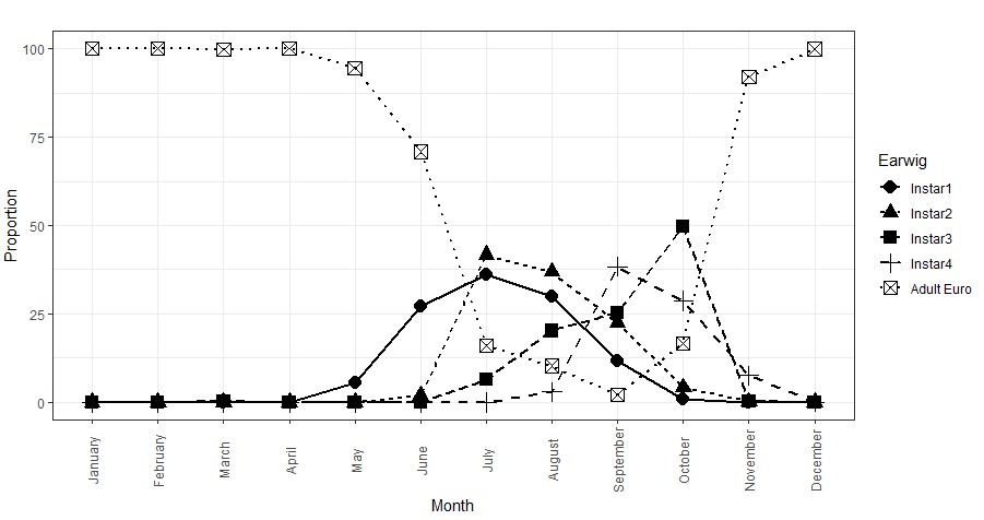 Line graph showing the number of adult and juvenile European earwigs present in grain crops recorded during each of the 12 months of a year