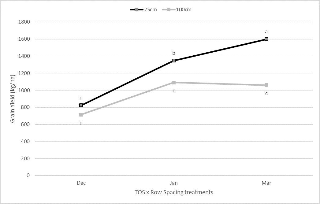 This line graph shows the comparison of mean grain yields for row spacing across three times of sowing (TOS). Means with the same letters are not significantly different at the P=5% level (LSD = 179.6).