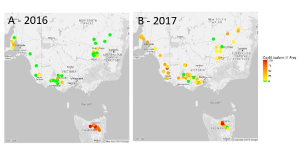 Figure 2. Map of occurrence of Cyp51 Isoform G1 in southern eastern Australia in a) 2016 and b) 2017. Green (predominantly mainland and decreasing in prevalence from 2016 to 2017) indicates absence of the G1 isoform (0%) through orange (increasing in prevalence from 2016 to 2017) to red (predominantly Tasmania) indicates G1 isoform detected in every sample from a paddock (100%).