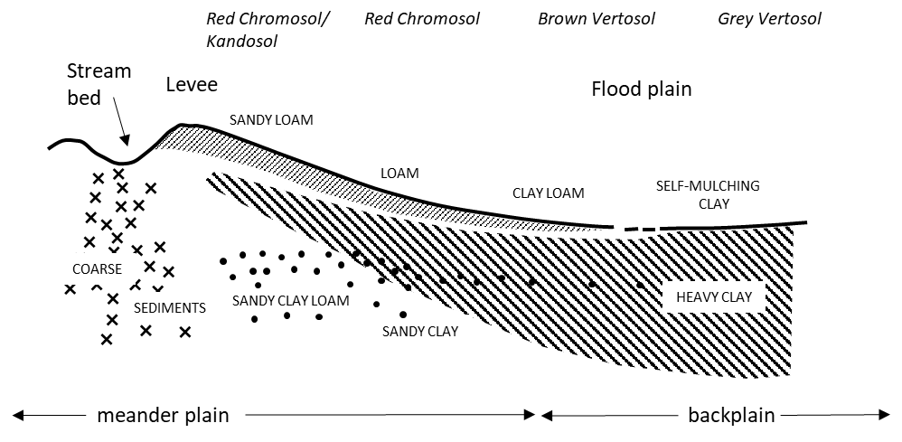 This illustrative figure shows the distribution of materials across the meander plain and backplain; adapted from Butler (1958) with the soil type sequence of one of our transects through the Carrabear Western soil landscape group.