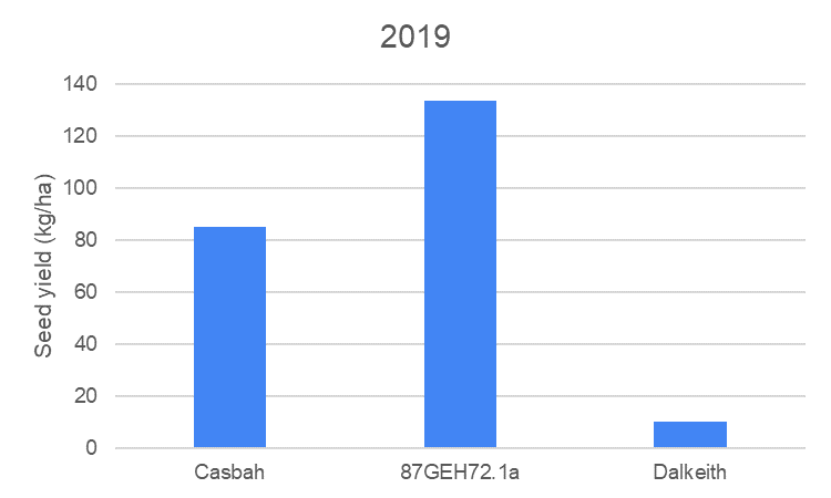 This column graph shows the seed production (kg/ha) of Casbah biserrula, an experimental line of yellow serradella (87GEH72.1a) and Dalkeith subterranean clover at a field site between Ungarie and Kikoira, NSW in 2019.