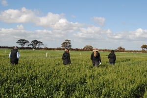 image of frost trial site