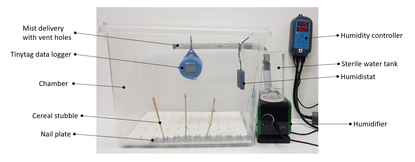 This image is an example of controlled humidity chamber design containing “standing” stubble