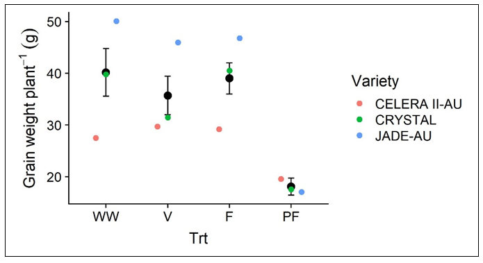 This scatter-plot illustrates the grain yield/plant (g) for the three varieties across the well-watered and drought stress treatments. WW: well-watered, V: water stress during vegetative growth; F: water stress during flowering, PF: water stress during pod-fill. Black dots represent the overall treatment means across all three varieties with standard error bars and the coloured dots represent the varieties.