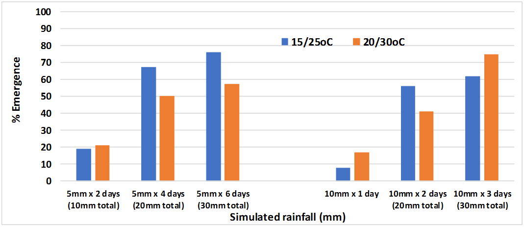 This column graph illustrates the percentage FTR emergence with multiple rainfall events