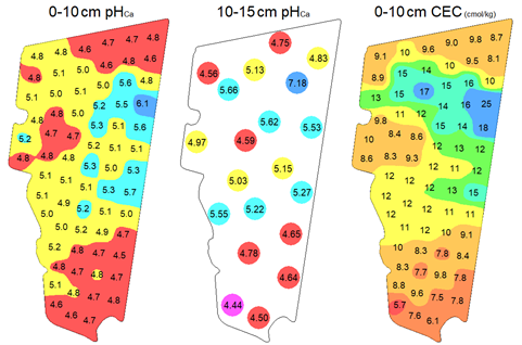 This coloured paddock map is of Case Study 1. ‘Lockhart’ paddock (143 ha) has a high degree of natural variability in CEC and soil texture (red loam to grey clay). The paddock has never been limed owing to a relatively high starting pH typical of the area. Subsurface acidity (10-15 cm pH) correlates reasonably well with both surface CEC (r2 = 0.62) and pH (r2 = 0.56) as mapped by 0-10 cm grid sampling. A zone-based VR strategy could be considered to raise the subsurface pHCa to 5.2 in areas where the 0-10 cm CEC is less than ~10-12 cmol/kg. This would be applied in addition to the lime required to raise the topsoil pHCa to 5.5, which would need to be incorporated to be effective.