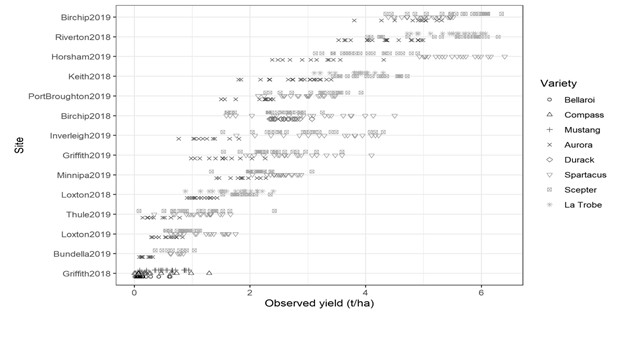 Figure 1. Scatter dot graph showing yield across all trial sites and years with different cereal type and or variety denoted by different markers. Barley varieties used were Compass, Spartacus CL and La Trobe. Durum wheat varieties used were EGA Bellaroi and DBA Aurora. Wheat varieties used were Scepter and Mustang. Oat variety used was Durack.