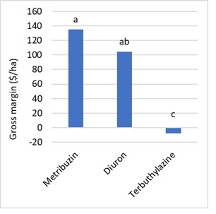 Bar graph showing reduced gross margin in lentil where terbuthylazine was applied pre-emergent in clay loam soil at Minnipa, 2018. Bars labelled with the same letters are not significantly different (P<0.05).