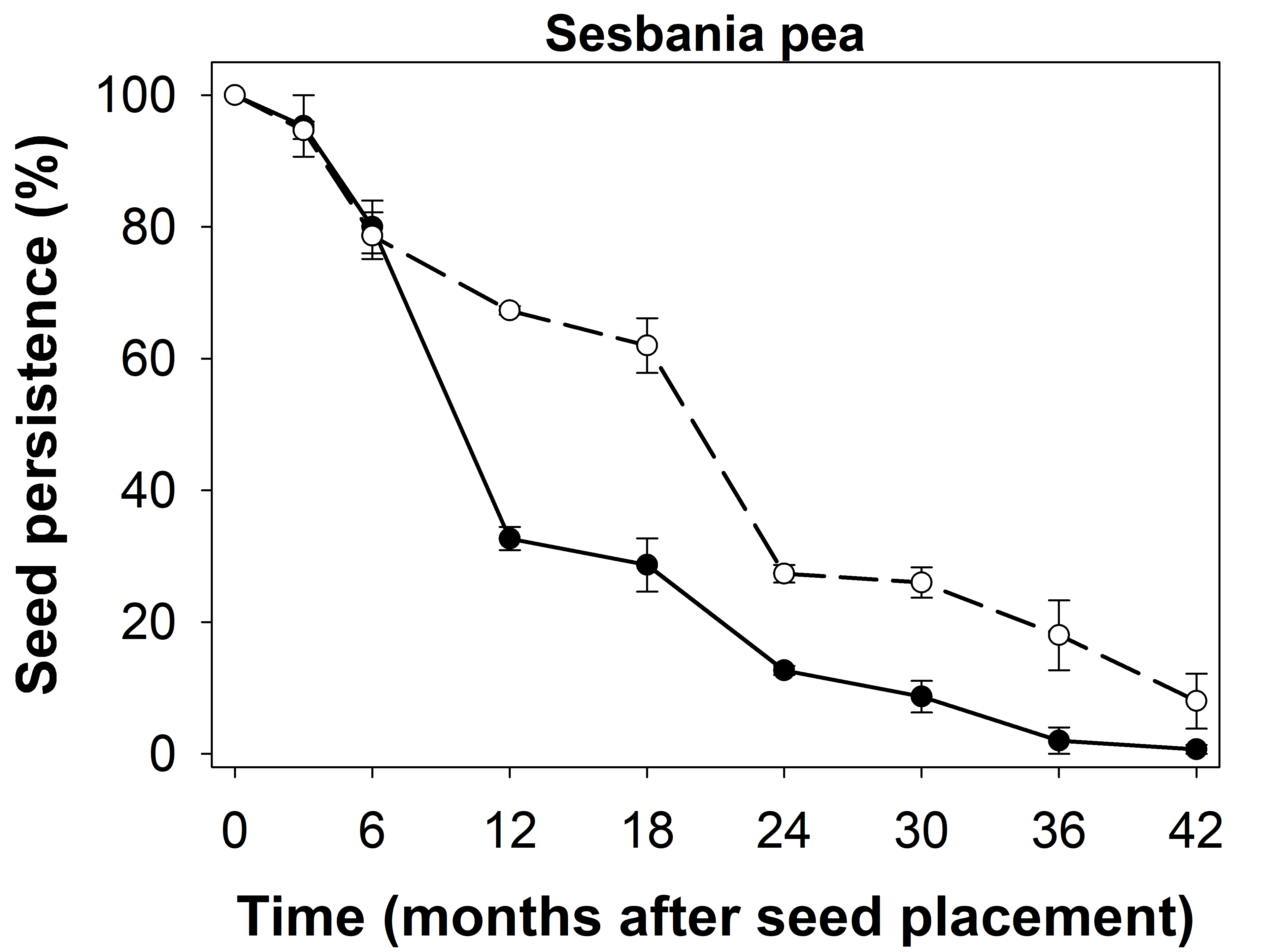 This line graph with error bars shows the persistence of seasbania pea seeds placed on the soil surface or buried at 2 cm.