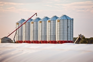 image of grain storage